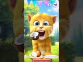 talking ginger gameplay funny cat video talkingtomversion talking ginger gameplay funny cat video talkingtomversion