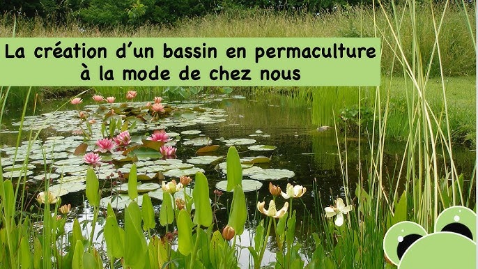 Bassin Biotope