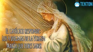 El católico responde: Los 4 dogmas de la Virgen María que debes saber