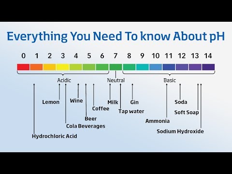 Using a pH Meter - Everything You Need to Know About pH