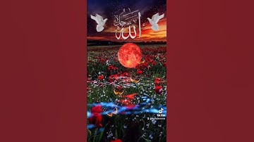 قران كريم تلاوة خاشعه #duet #القزابري #اكسبلور #المصحف #تيك_توك #دويتو #الرحمن #لايك