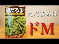 【プランター栽培】エダマメ栽培の秘訣は「ドM」?その① 種まき・緑化編