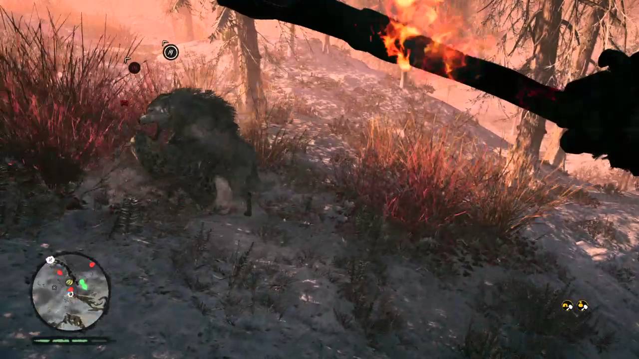 Far Cry Primal Gameplay PS4 /Dire Wolf vs Snow Leopard - YouTube.