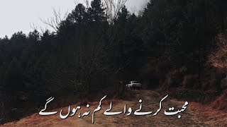 Miniatura del video "Mohabbat Karne Wale - Ali Sethi | Aesthetics اردو"