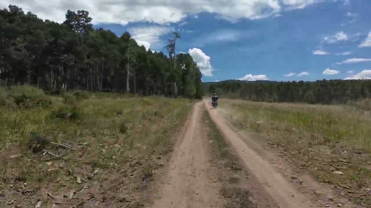 ADV Hogs ride Colorado Back Country Discovery Rout