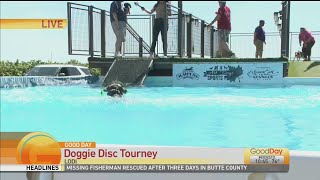 ADSP Disc Dogs Tournament #2