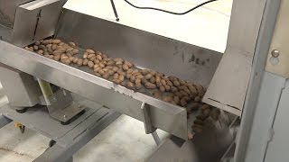 Quality Is Freshness