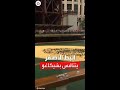 شاهد إلقاء 75 ألف بطة في نهر شيكاغو ضمن مهرجان سنوي للتبرعات 