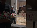 Always a Runner deserves a sweet treat 🤭 #kentuckyderby #oaks #horses #fillies