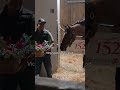 Always a Runner deserves a sweet treat 🤭 #kentuckyderby #oaks #horses #fillies