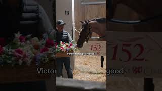 Always a Runner deserves a sweet treat 🤭 #kentuckyderby #oaks #horses #fillies