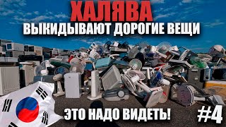 У МЕНЯ ШОК! ВЫКИНУЛИ ДОРОГОЙ БАЙК И МЕБЕЛЬ, БРЕНДОВЫЕ ВЕЩИ. ХАЛЯВА В КОРЕЕ, ЧТО ВЫКИДЫВАЮТ КОРЕЙЦЫ?