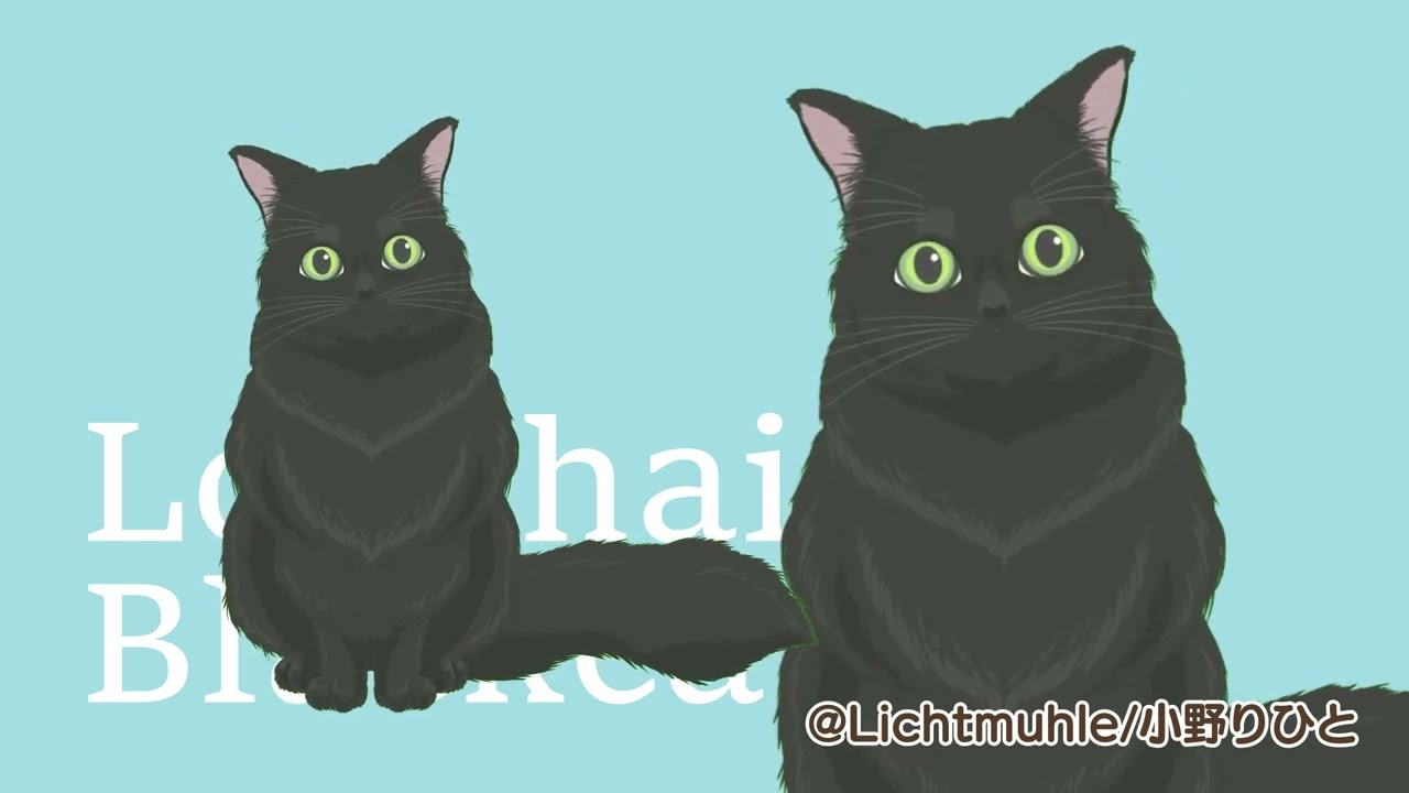 Live2DShowcase】長毛黒猫モデルサンプル動画 - YouTube