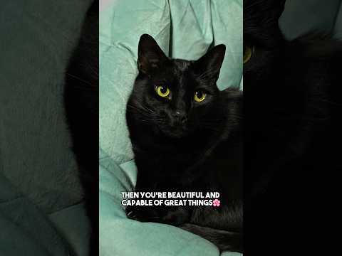 Unless… #sarcasm #funny #relatable #blackcat #catsofyoutube #shorts