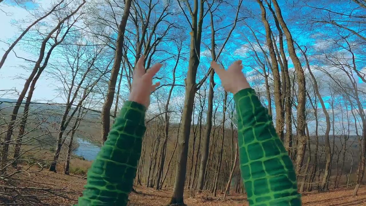 Trawers na drugie drzewo 🌳 Koniec daily 🪜 i uciekająca torba | Krokodyl Vlog