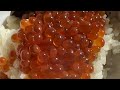 筋子からイクラへ salmon caviar きのこ炊き込みご飯 mushroom rice