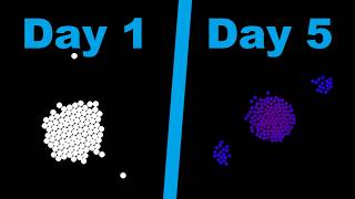 Can I Make a Newtonian Gravity Simulation in 5 Days? Simulating Gravity In Python