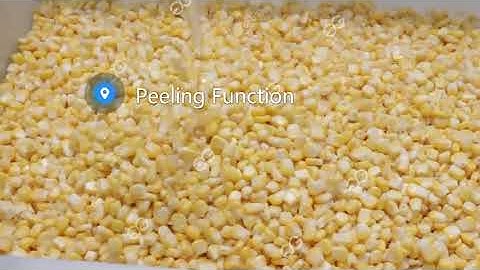 Fresh Corn Thresher Machine Electric Corn Sheller Frozen Corn Processing Machine