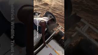 Trucker Trapped in Kenyan River Rescued by Wildlife Conservation Helicopter Crew