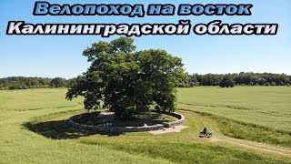 Велопоход на восток Калининградской области | Воинский мемориал Маттишкемен | Дуб в Бабушкино