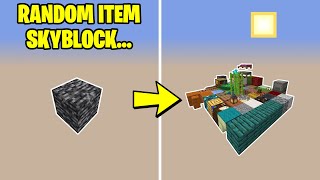 Minecraft, but Every 30 Seconds I get a Random Item...