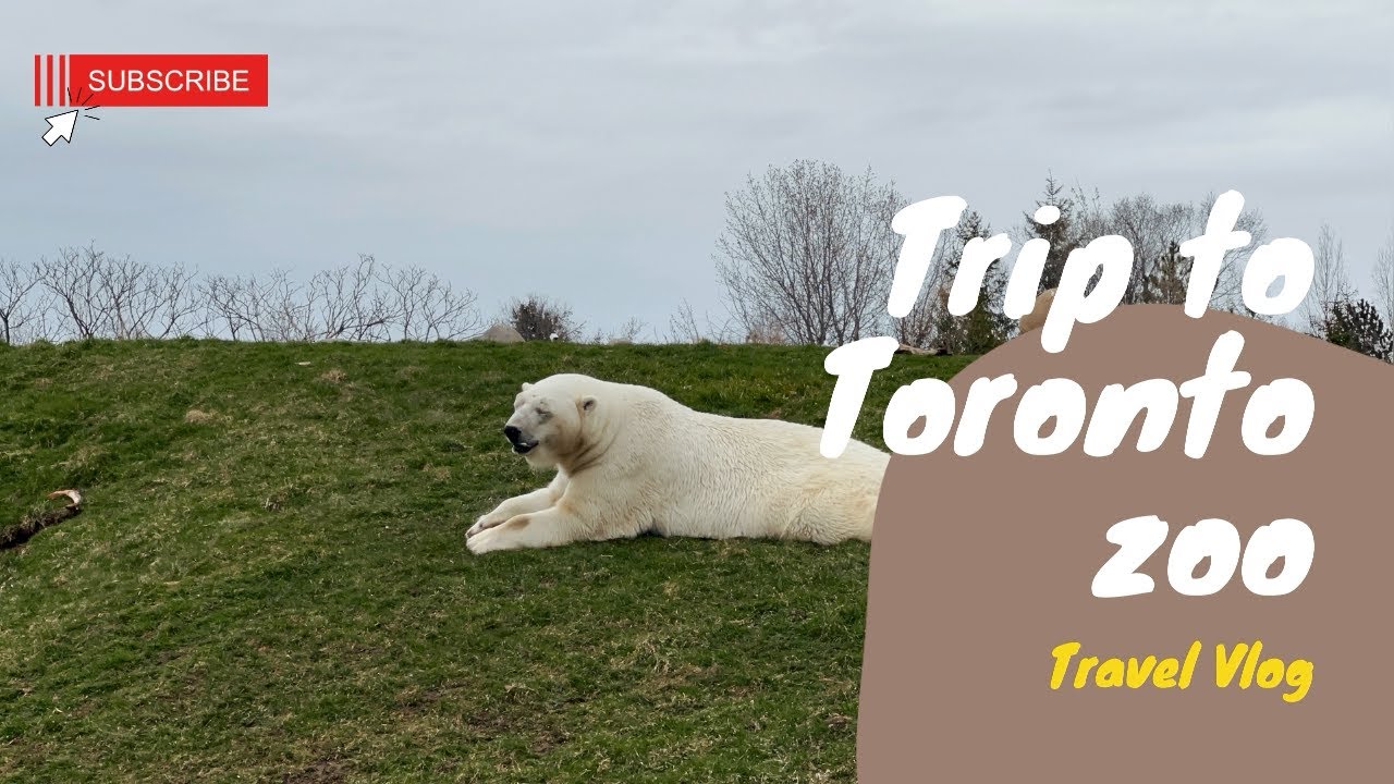 TORONTO ZOO TOUR 2022 🦁 || TORONTO ZOO CANADA || CANADA'S LARGEST ZOO