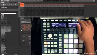 Celebrity Maschine 2.1 update overview of the new features Wealth