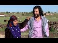 Kemale Amed Rojek Mindi 