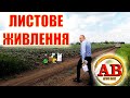 КОРМИМ ПО ЛИСТУ -💯% ПРИБАВКА ДО ВРОЖАЮ ГАРАНТОВАНА 🌻🌽 !!! #агро*ван