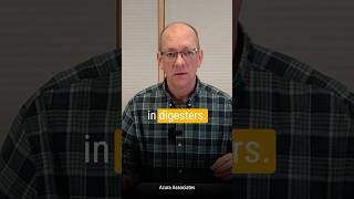 There are No Magic Pills for Ammonia in Anaerobic Digesters