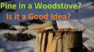 Can I Burn Pine In A Woodstove Or Fireplace?