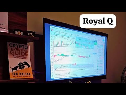 HOW TO START CRYPTO TRADING JOURNEY WITH ROYAL Q TRADING APP || MAKE ...