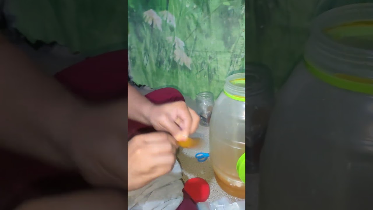 "Manila Mango Delight: A Refreshing Ice Candy Experience" 