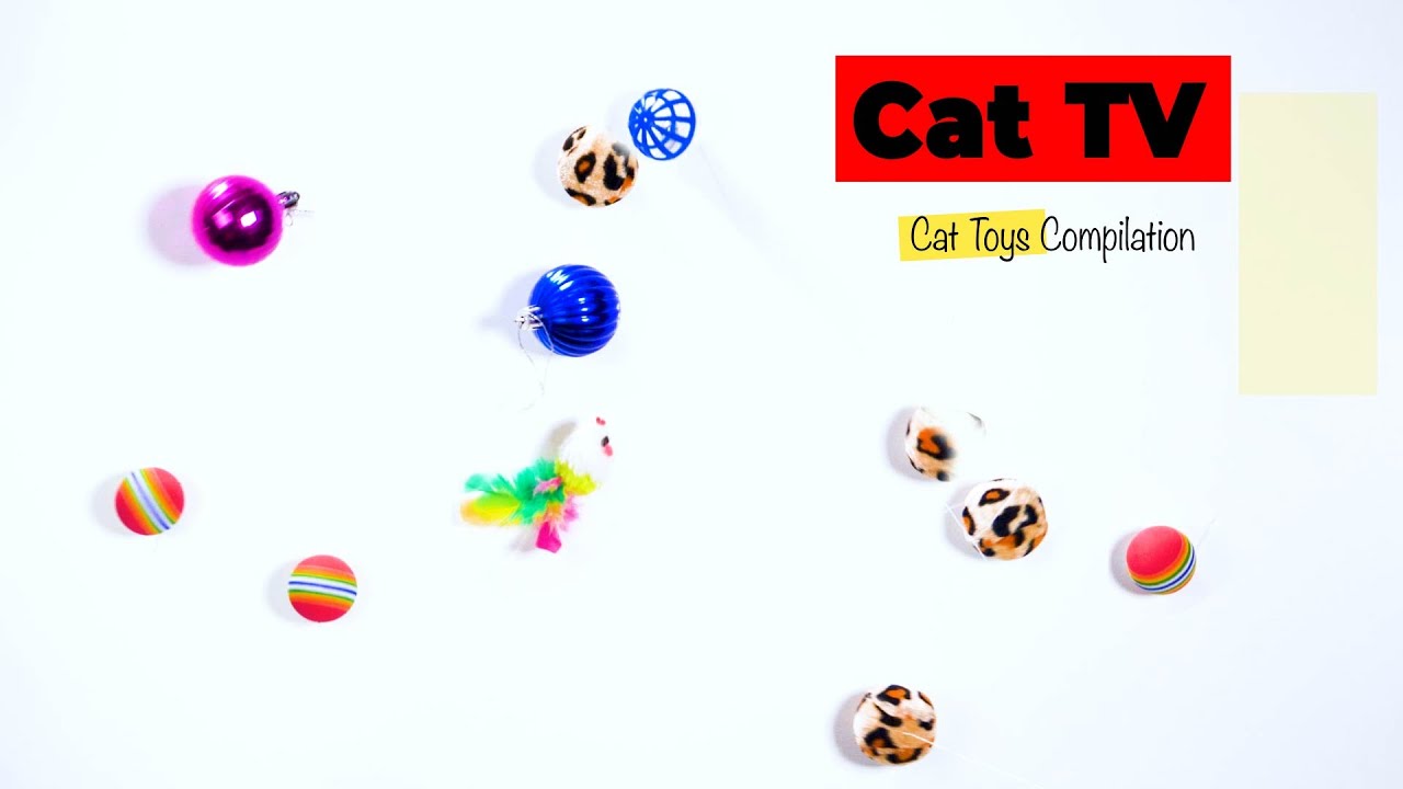 GAME FOR CATS 😻 HAPPY 2026 CAT Toys for CATS Compilation 🪱🙀 Live Cat Games 🙀🔔 [CATS TV]