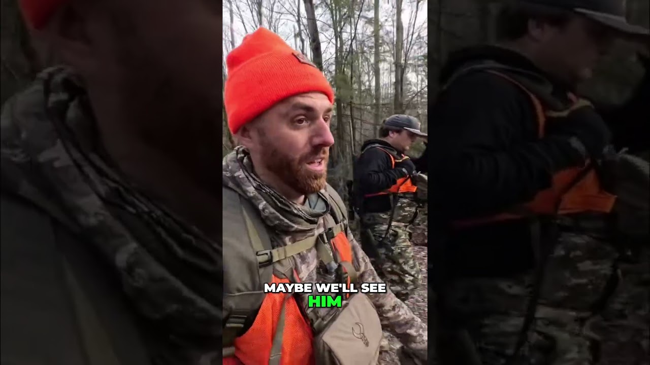 Hot Doe Spotted: Will She Return? #shorts