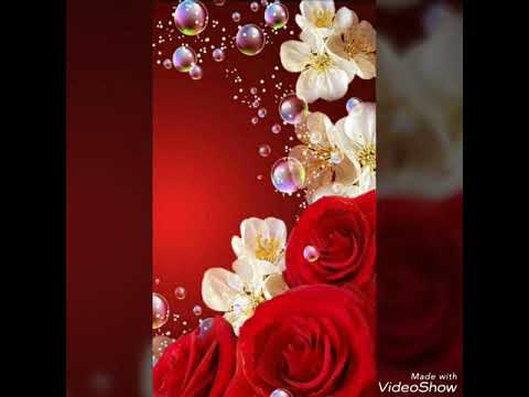 Libi Libi Lab Lab Bola Mili Kab Kab Singer Alam Raja 