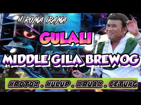 DJ CEK SOUND FULL BASS TERBARU 2025 BREWOG NGAMUK RHOMA IRAMA MIDDLE BALAP COCOK BUAT SOUND HAJATAN