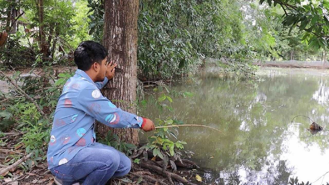 Fishing for climbing perch fish by hook - YouTube