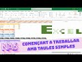 Activitat No Avaluable 6 d'Excel: Treballant amb taules senzilles