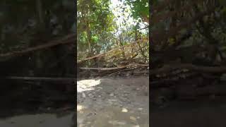 un gran paseo