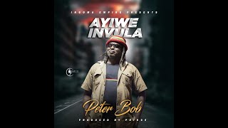 Peter Bob Ayiwe Invula