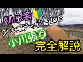 アメニティドームｍサイズでタープ小川張り完全解説！