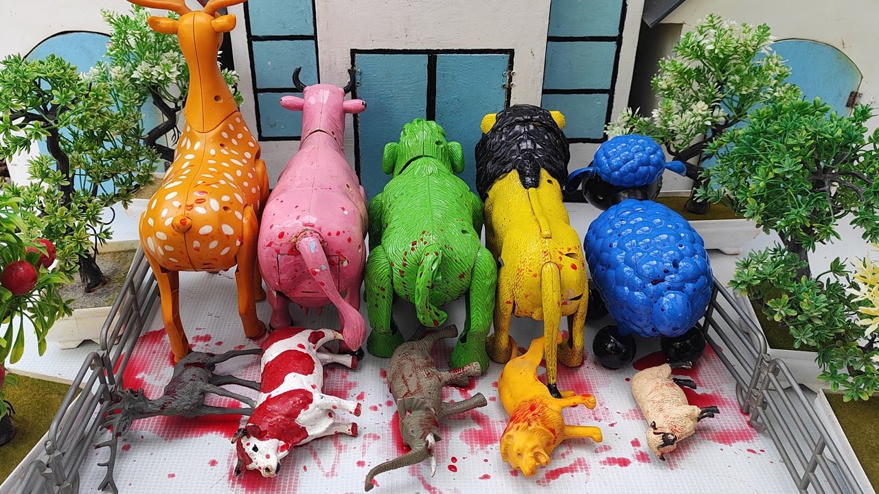 Wadidau ‼️ Proses Sapi Lucu Melahirkan Cesar, Simulasi Potong Sapi Qurbani, Idul Idha.