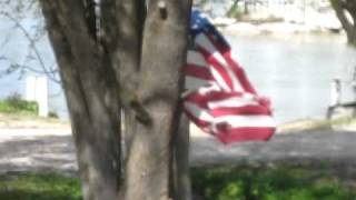 Communist Squirrel.AVI
