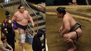 Terunofuji IN for March; throw expert Keitenkai retires (Sumo News, Mar 6th)