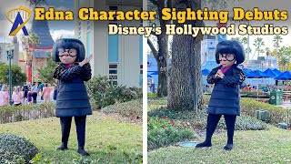 Edna Mode Surprise Sighting Debut at Disney's Hollywood Studios