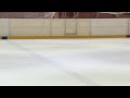 Открытые соревнования по фигурному катанию на коньках «Весенние ласточки»
