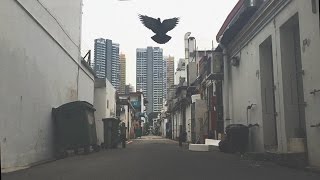 Tiong Bahru in Slow-motion - Another Traveler