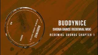 Buddynice  - Shona Dance (Redemial Mix)