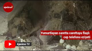 Yumurtlayan caretta carettaya flaşlı cep telefonu eziyeti